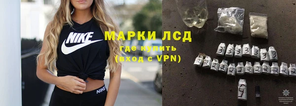 spice Богородск
