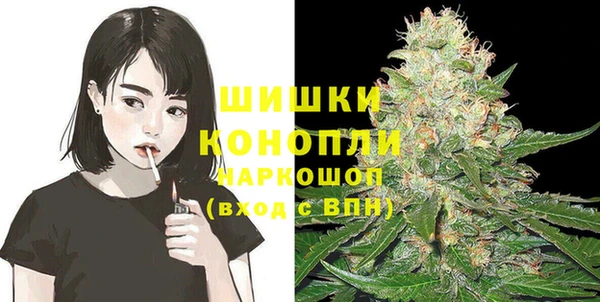 spice Богородск