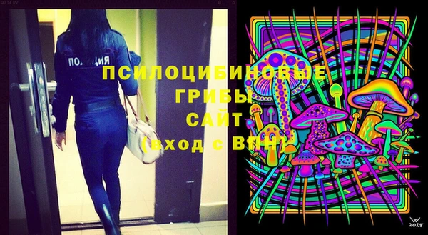 МДПВ Белокуриха