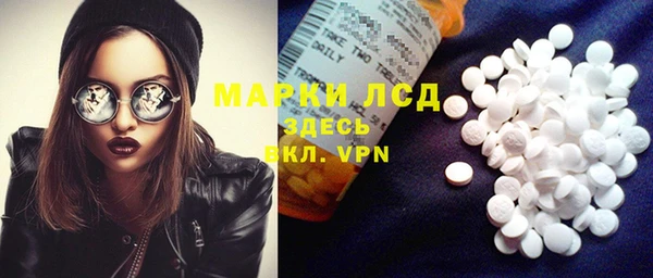 спиды Снежногорск