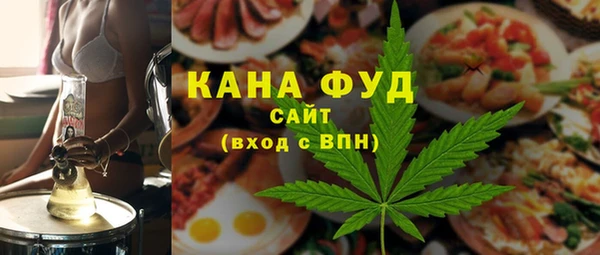 гидра Богородицк