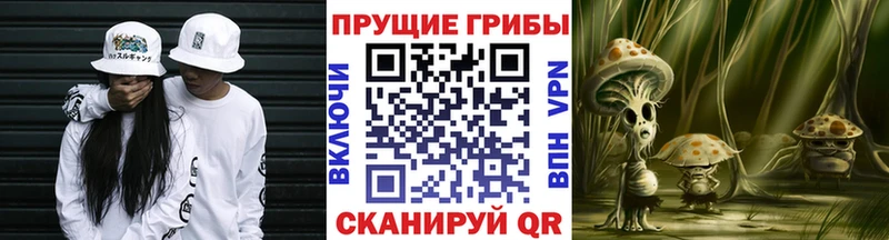 даркнет сайт  Горняк  Псилоцибиновые грибы MAGIC MUSHROOMS 